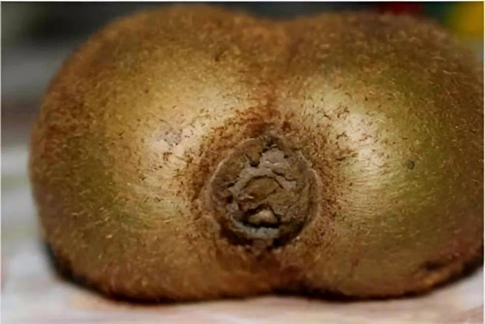 Kiwi